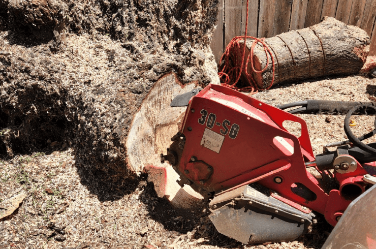 Pro M Tree Service