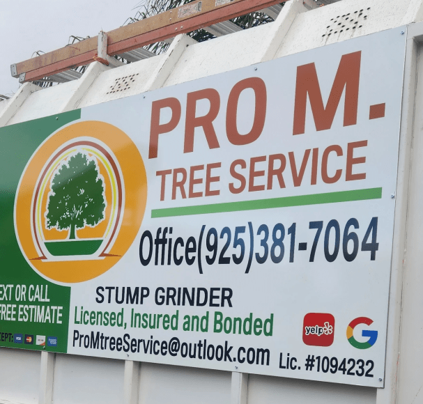 Service Image